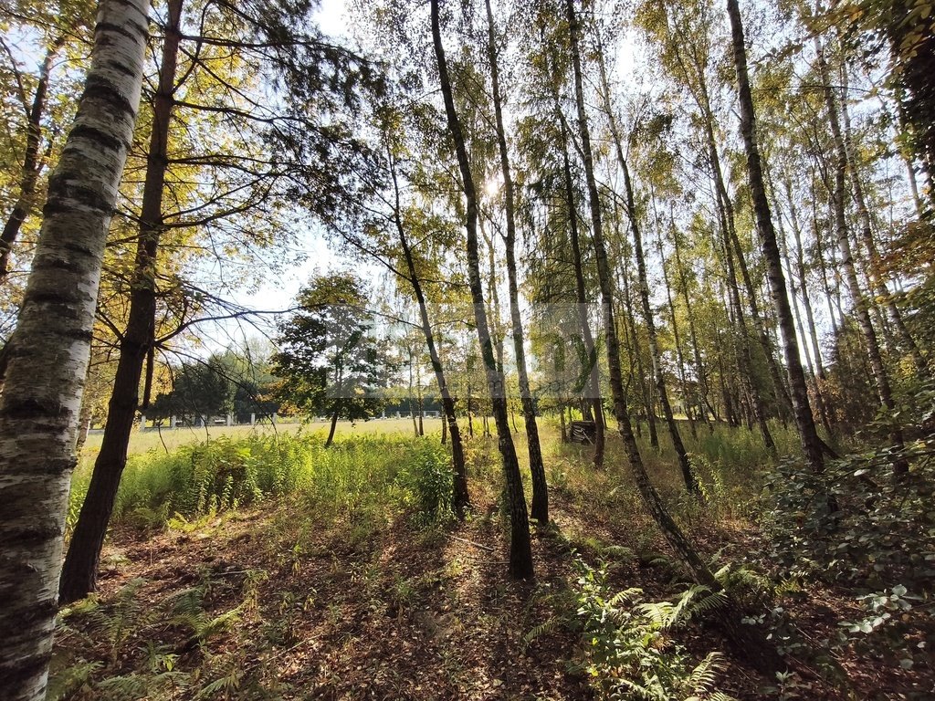 Działka budowlana 2 385 m² z mediami i podziałem. Kierszek  2 385m2 Foto 1