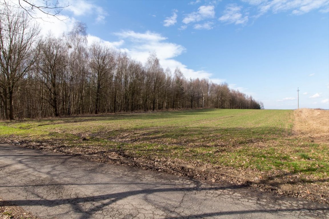 Działka rekreacyjna na sprzedaż Woźniki, Czarny Las, Czarny Las  14 911m2 Foto 12