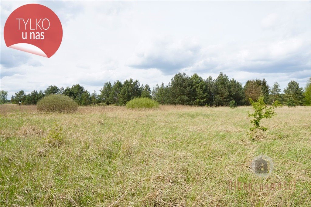 Działka budowlana na sprzedaż Łośno  10 900m2 Foto 3