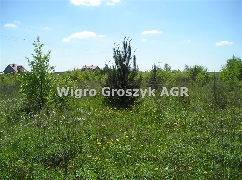 Zapraszam do zakupu działki rolnej z możliwością zabudowy zagrodowej, 1217 m² Łomna, Łomna  1 217m2 Foto 1