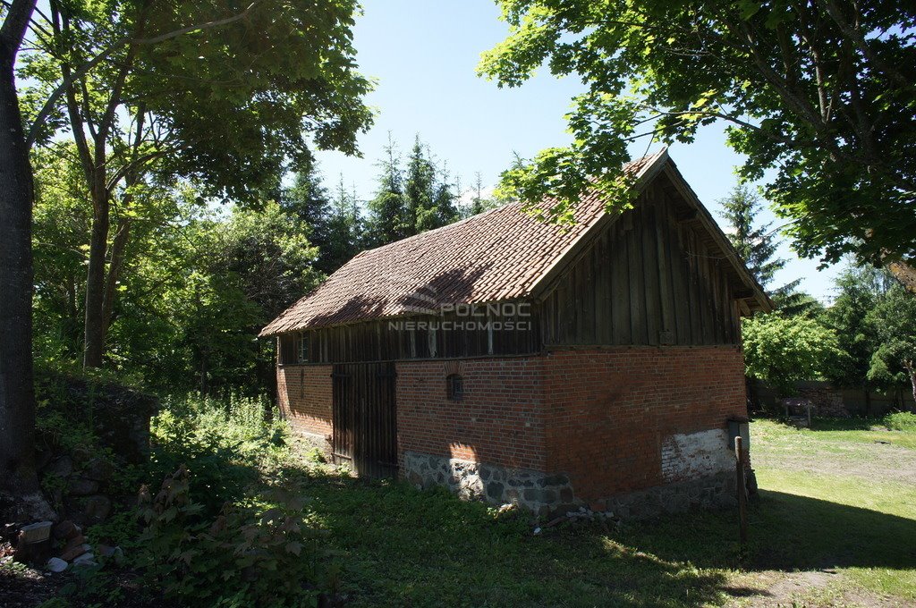 Działka siedliskowa na sprzedaż Liski  6 600m2 Foto 8