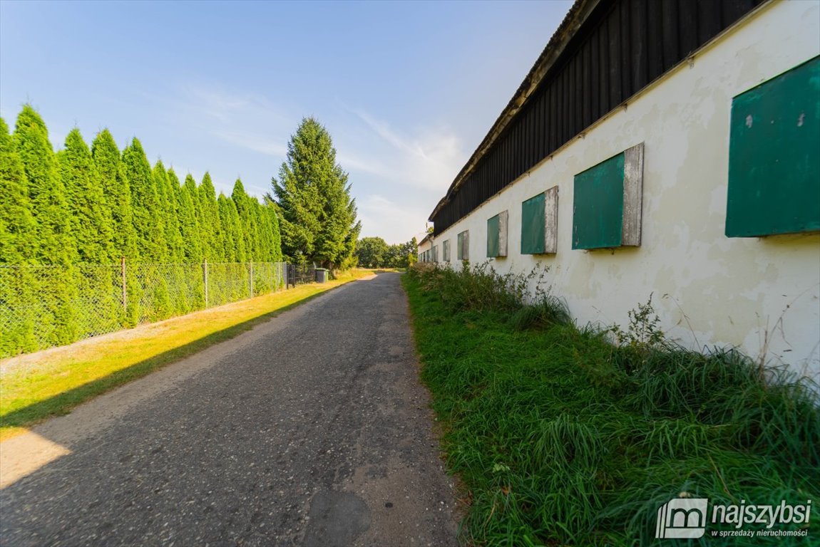 Lokal użytkowy na wynajem Goleniów  720m2 Foto 4