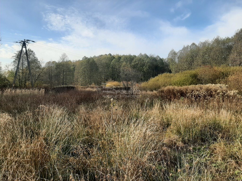 Działka rolna na sprzedaż Ostrów  6 806m2 Foto 3
