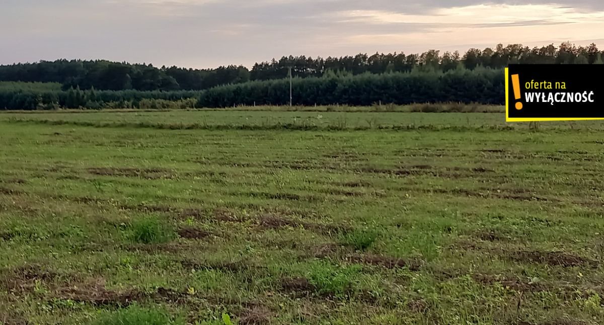 Działka siedliskowa na sprzedaż Celiny  35 000m2 Foto 3