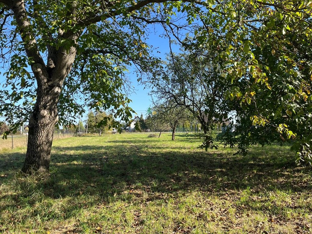 Działka inna na sprzedaż Kozakowice Górne  1 549m2 Foto 8