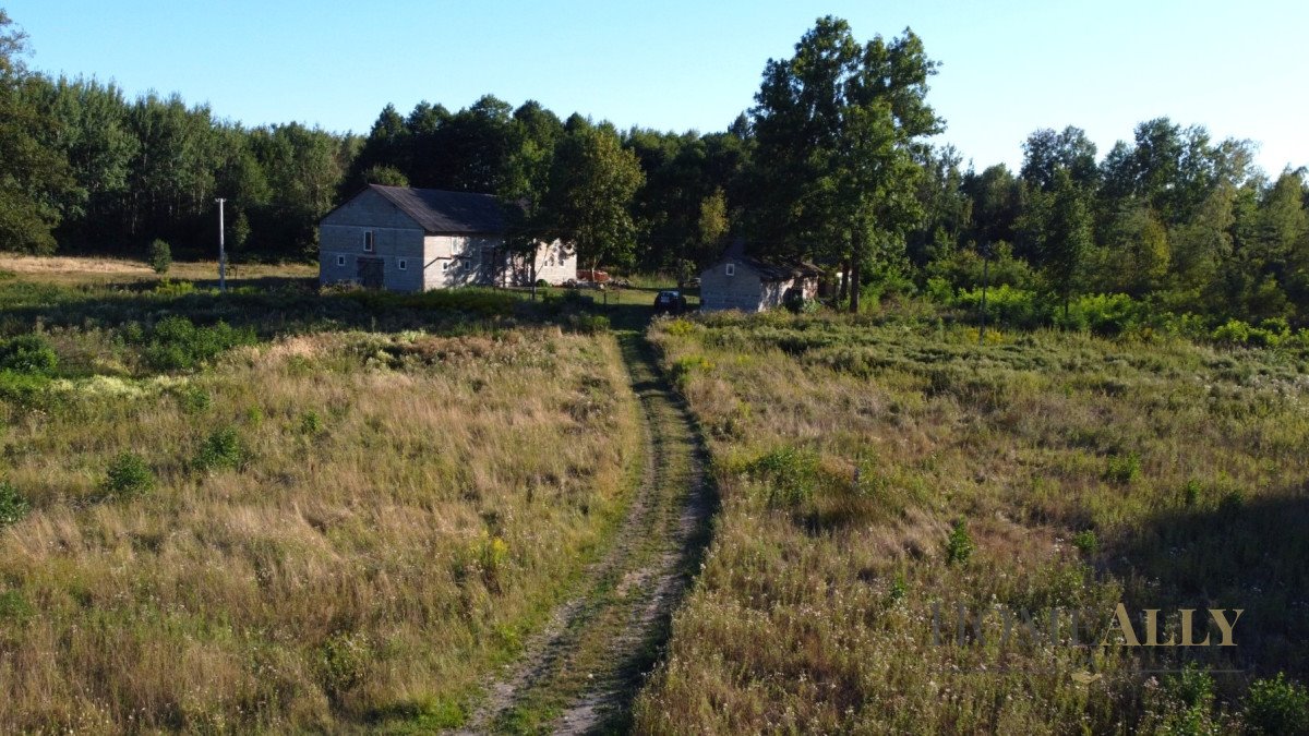 Działka siedliskowa na sprzedaż Zazdrość  18 150m2 Foto 3