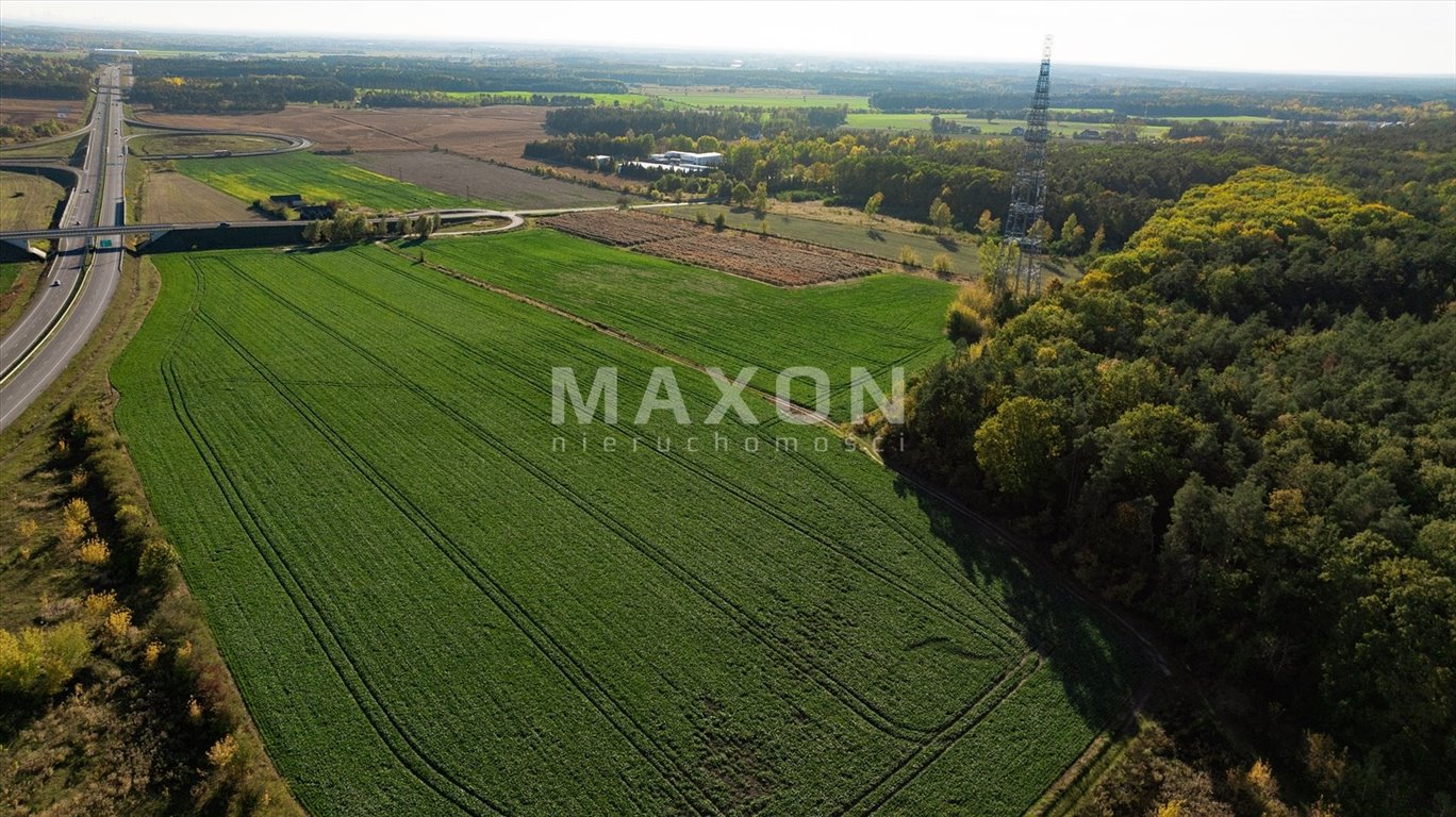 Działka budowlana na sprzedaż Wierzbica  17 887m2 Foto 10