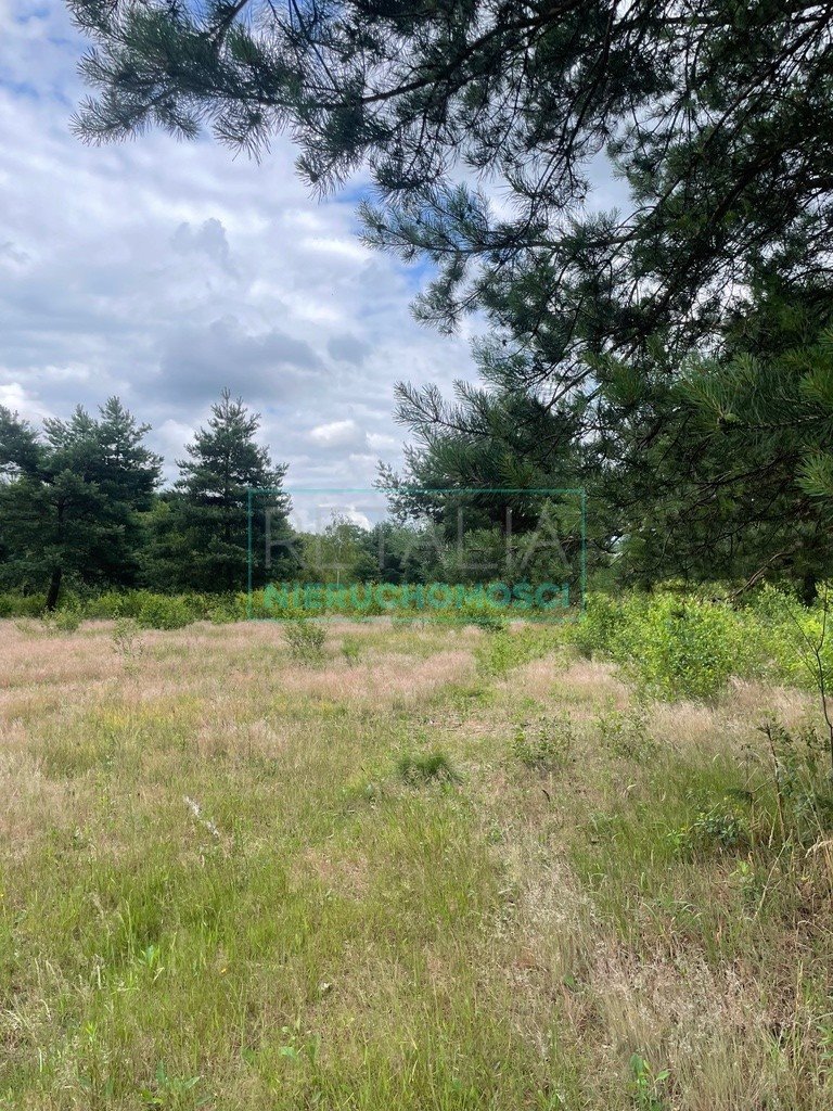 Duża działka 3000 m² w Franciszkowie – blisko natury Franciszków  3 000m2 Foto 1