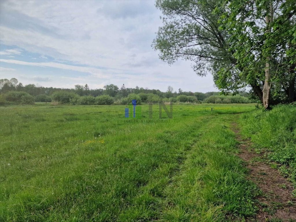 Działka rolna na sprzedaż Chrząstawa Wielka  13 058m2 Foto 1