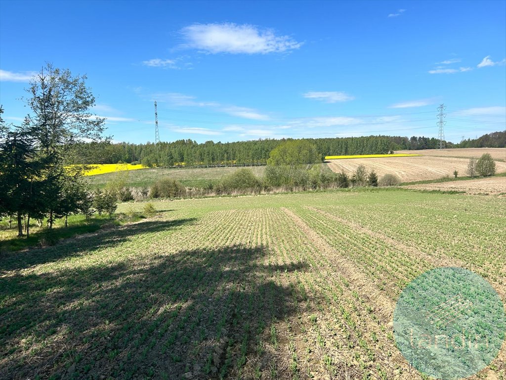 Działka budowlana na sprzedaż Rudzica  900m2 Foto 3