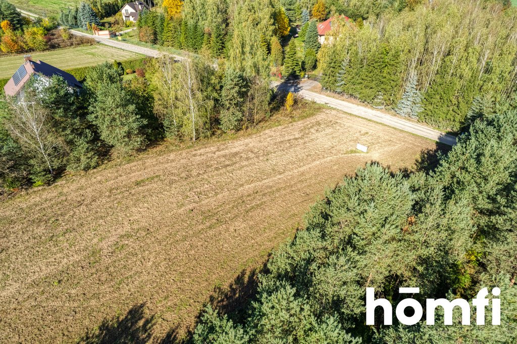 Działka budowlana na sprzedaż Brzeziny  4 100m2 Foto 1