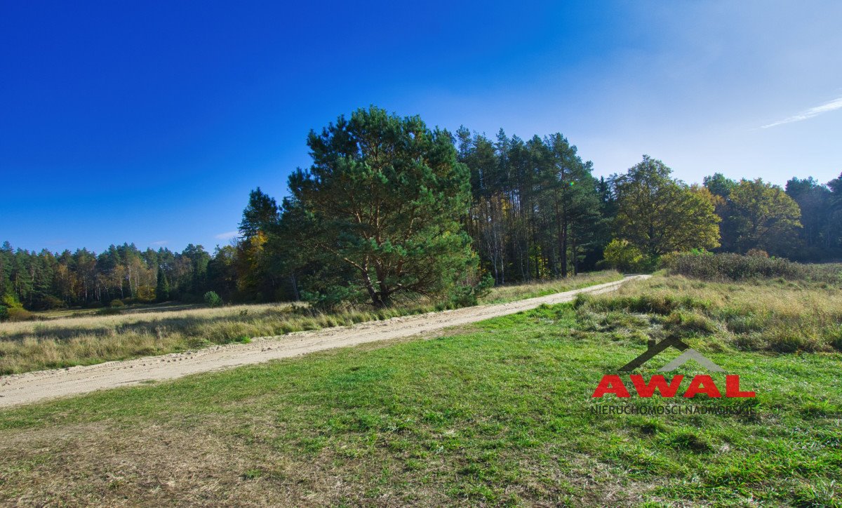 Działka budowlana na sprzedaż Leśniewo, Glinne Pole  1 001m2 Foto 11