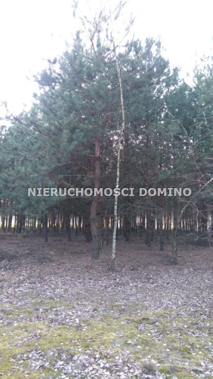 Działka budowlana na sprzedaż Borek 2 522m2 Foto 1 Działka budowlana na sprzedaż Borek 2 522m2 Foto 1