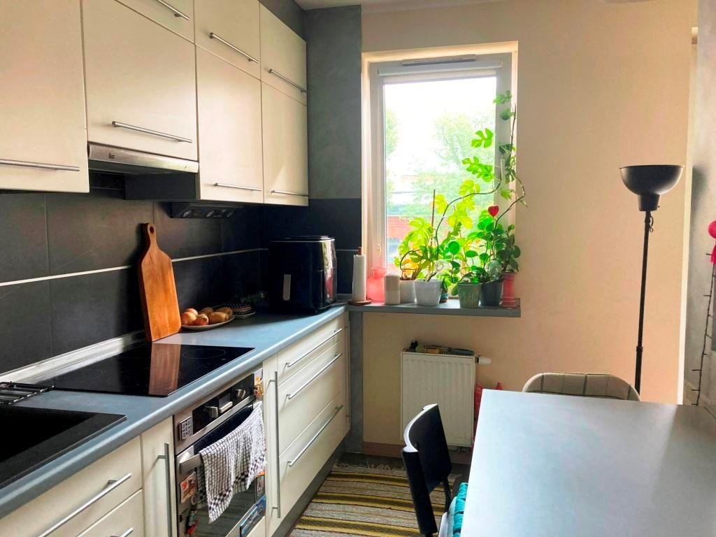 Na wynajem przestronne 3-pokojowe mieszkanie 65 m² w Poznaniu Poznań, Grunwald, WOJSKOWA,,NEAR PUMS ,UNIWERSTET MEDYCZNY  65m2 Foto 1