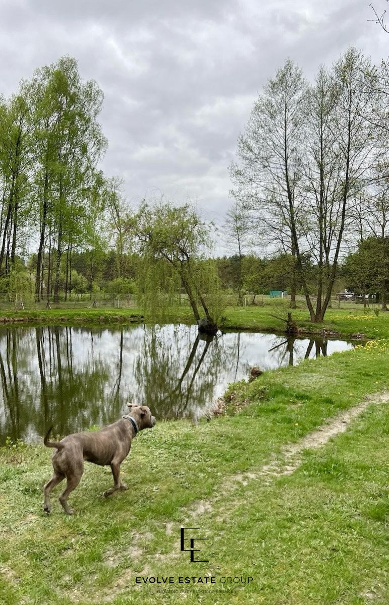 Działka inwestycyjna na sprzedaż Czarny Las  29 760m2 Foto 3