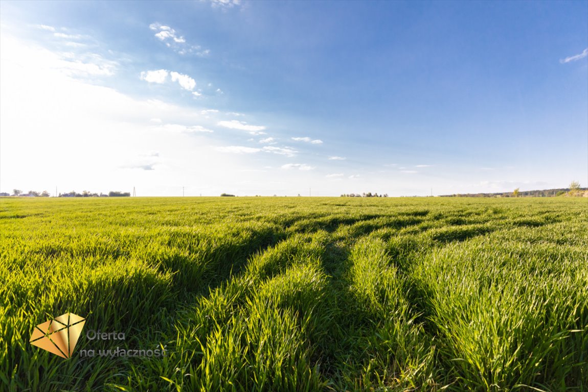 Działka rolna na sprzedaż Piotrkówek  3 200m2 Foto 9