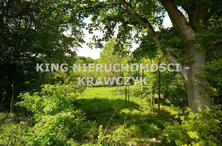 Działka inna na sprzedaż Szczecin, Bukowo 19 000m2 Foto 1 Działka inna na sprzedaż Szczecin, Bukowo 19 000m2 Foto 1
