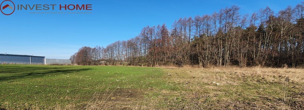 Działka inna na sprzedaż Starczanowo  28 700m2 Foto 2