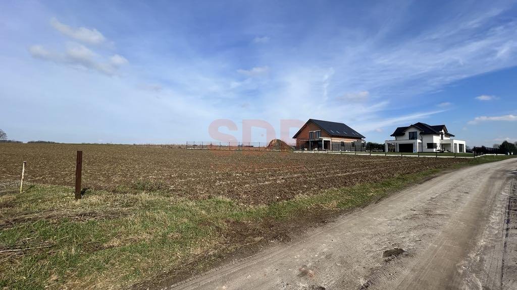 Działka budowlana na sprzedaż Pierwoszów  1 570m2 Foto 2