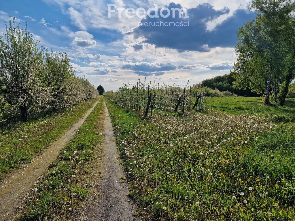 Dom na sprzedaż Polubicze Wiejskie  110m2 Foto 4