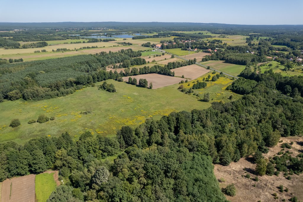 Działka inna na sprzedaż Kuźniczysko  9 900m2 Foto 3