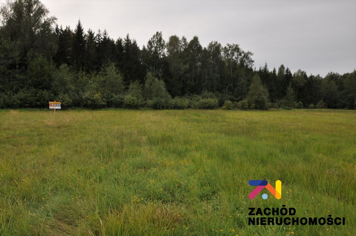 Działka budowlana na sprzedaż Krzywczyce  3 029m2 Foto 1