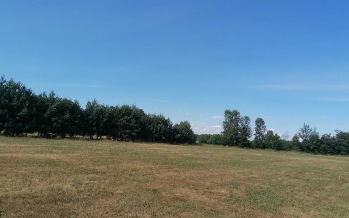 Działka budowlana na sprzedaż Brzozówka, Brzozówka, Wyborów 19h  1 000m2 Foto 2