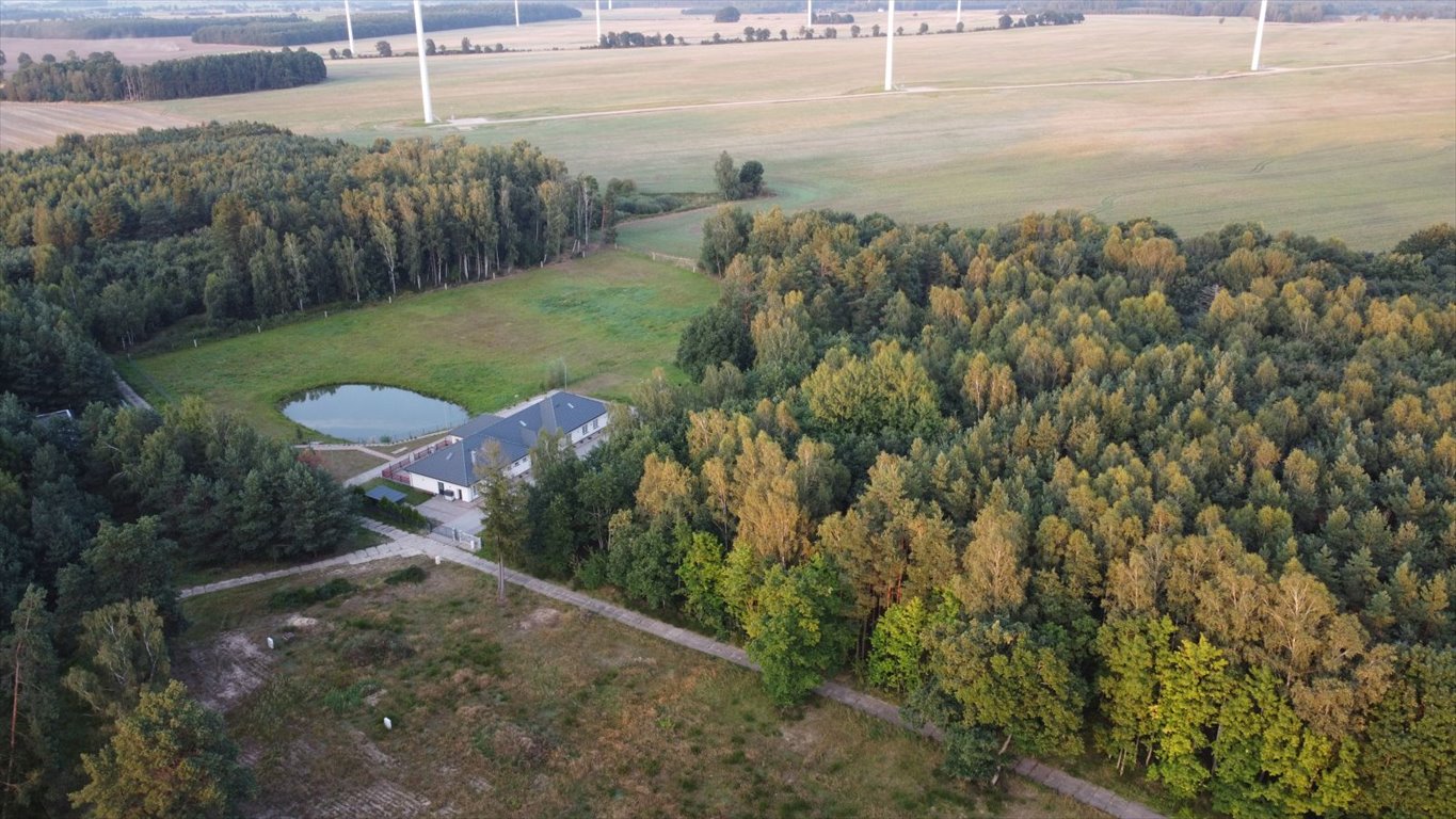 Działka leśna z prawem budowy na sprzedaż Głobino, Przy Lesie  6 200m2 Foto 4