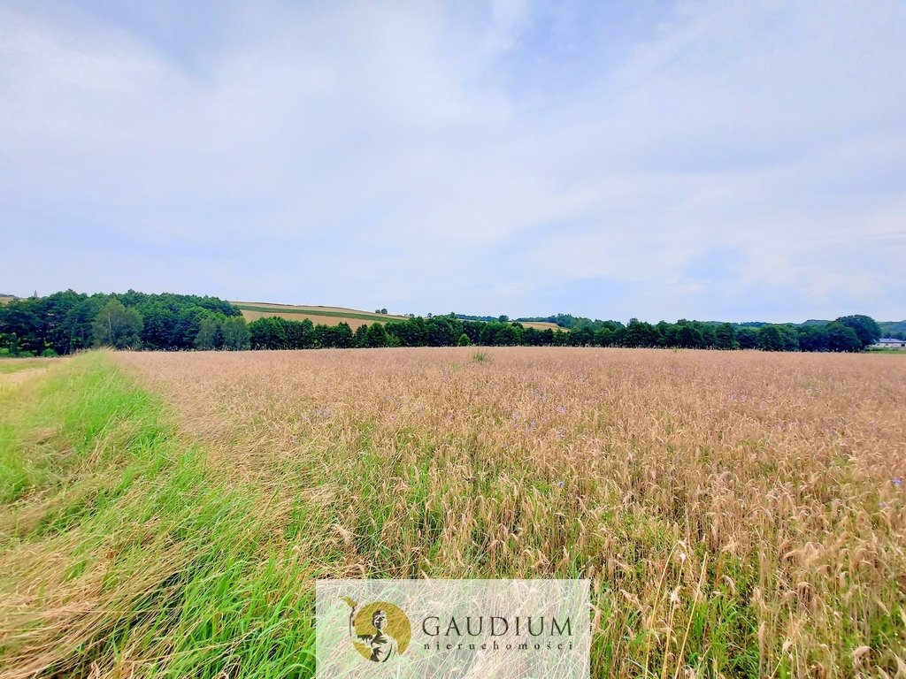 Działka budowlana na sprzedaż Kczewo, Młynek  1 000m2 Foto 5