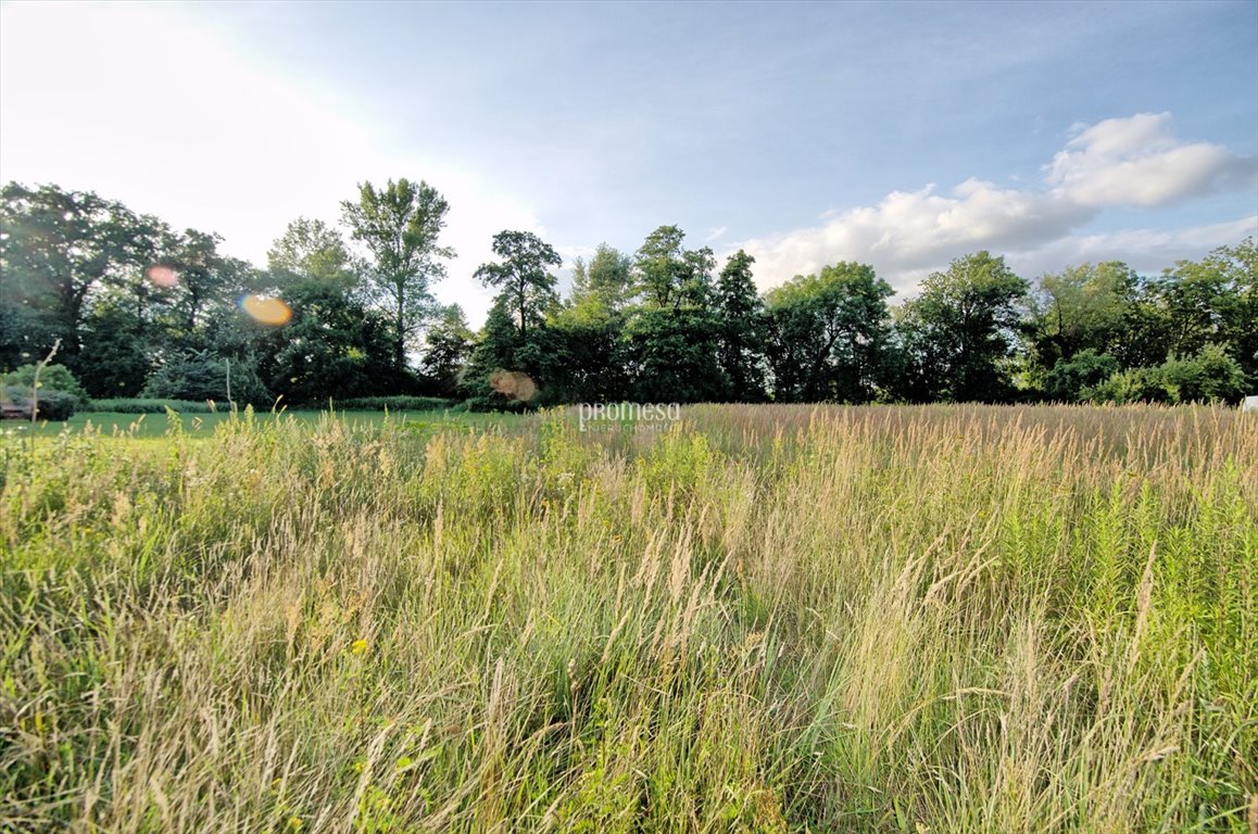 Działka budowlana na sprzedaż Wrocław, Psie Pole, Kłokoczyce, Białych Goździków  3 260m2 Foto 6