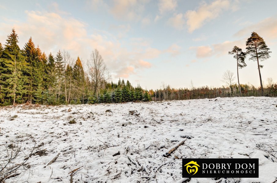 Działka leśna na sprzedaż Ateny  5 183m2 Foto 2