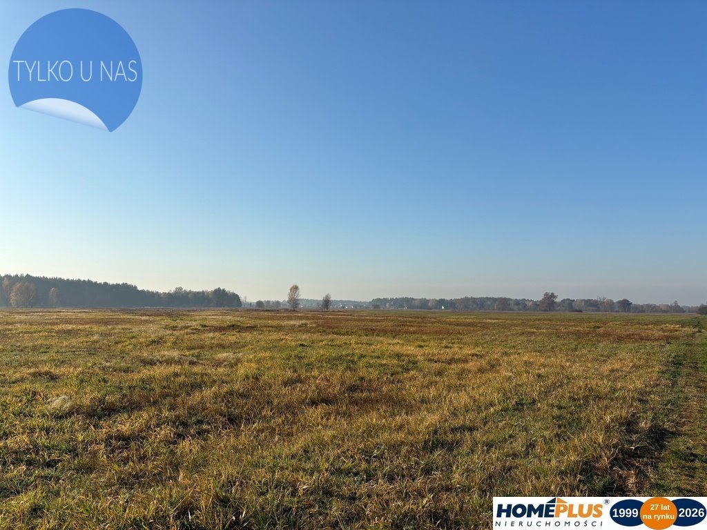 Działka rolna 2,7 ha w Nowych Załubicach, klasa Ł IV/V Nowe Załubice  27 100m2 Foto 1