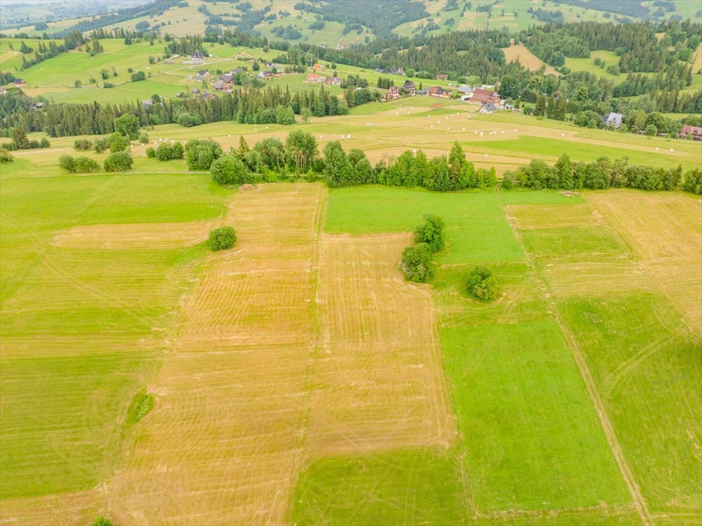 Działka rolna 9 423 m² z dojazdem w Cichym - zapraszam Ciche, 634  9 423m2 Foto 1