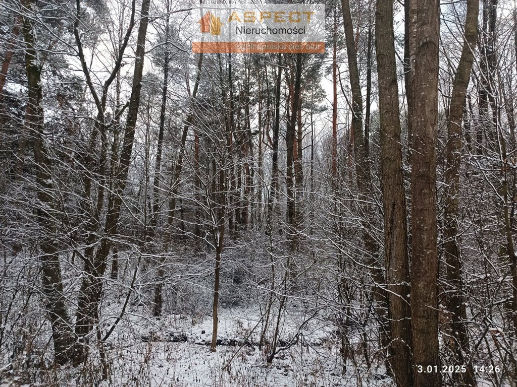 Działka leśna na sprzedaż Nowe Brusno, Nowe Brusno  10 000m2 Foto 1