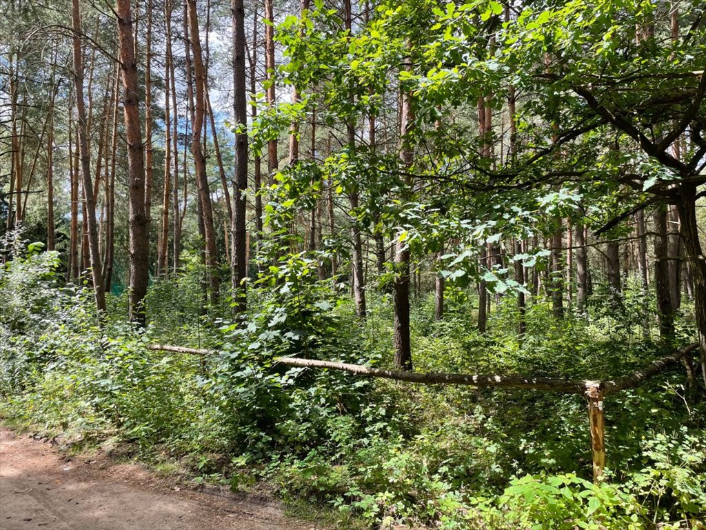 Działka rekreacyjna na sprzedaż Brańszczyk, Brańszczyk-Nakieł, Spokojna  1 144m2 Foto 1