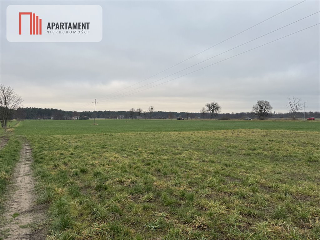 Działka inwestycyjna 48 923 m² przy S5 – elastyczne plany Kowalewo  48 923m2 Foto 1