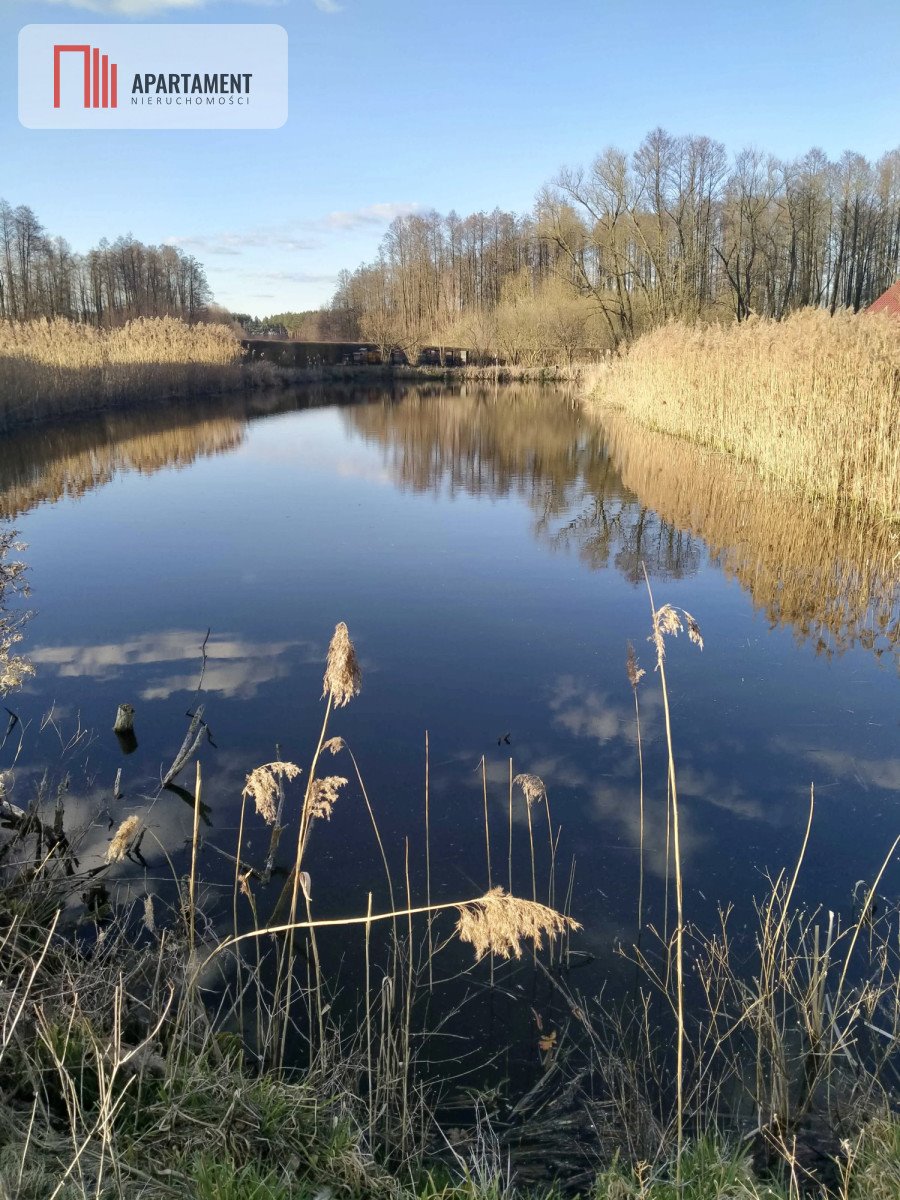 Działka przemysłowo-handlowa na sprzedaż Kruszyn Krajeński, Osiedlowa  3 743m2 Foto 3