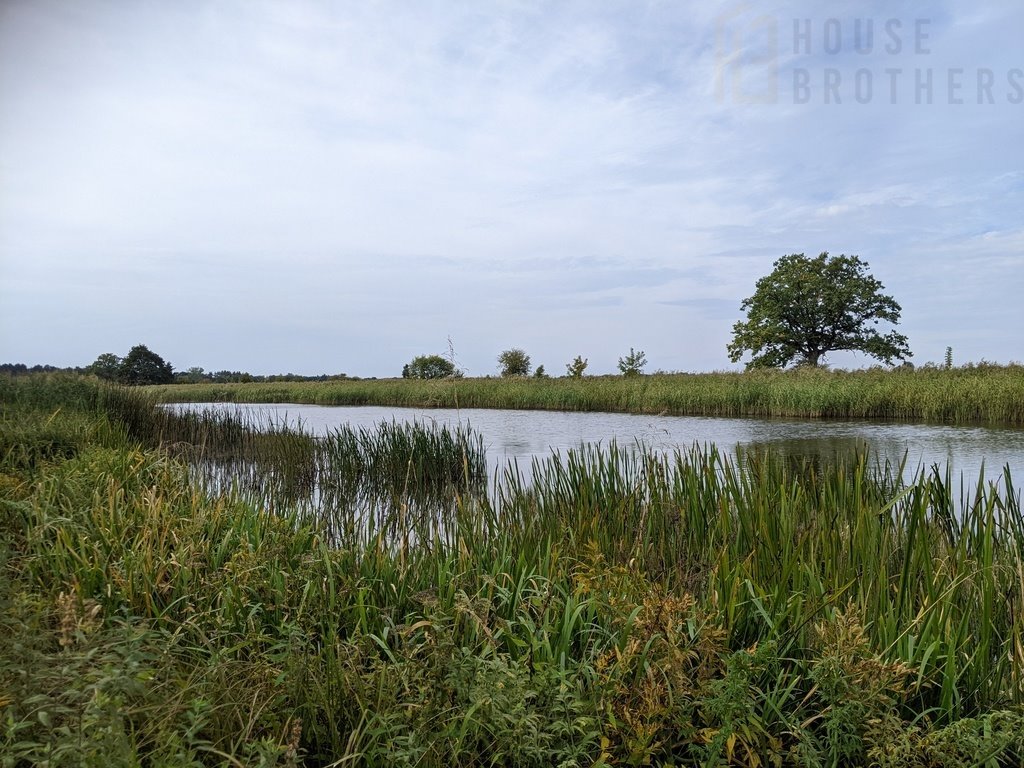 Działka rolna na sprzedaż Chełsty  3 000m2 Foto 11