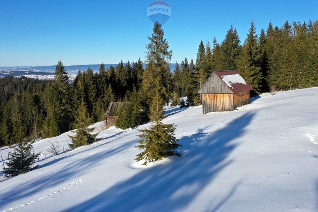 Działka rolna na sprzedaż Bukowina Tatrzańska  4 290m2 Foto 7