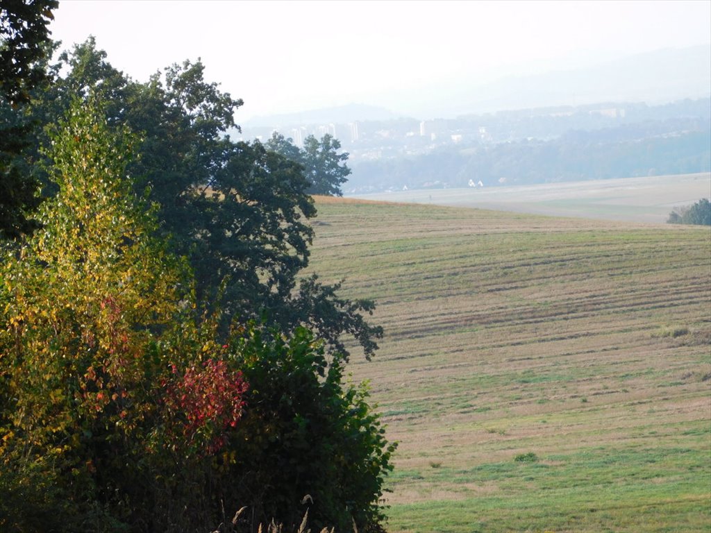 Działka rolna na sprzedaż Jaszkowa Dolna, Jaszkowa Dolna  291 440m2 Foto 6