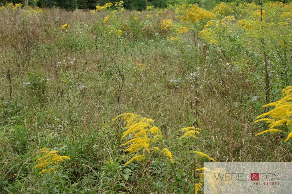 Działka budowlana na sprzedaż Niewodnica Kościelna 1 000m2 Foto 1 Działka budowlana na sprzedaż Niewodnica Kościelna 1 000m2 Foto 1