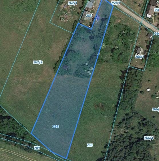 Działka pod inwestycję w Ełganowie, las, media, 15 600 m2 Ełganowo, Leśna  15 600m2 Foto 1