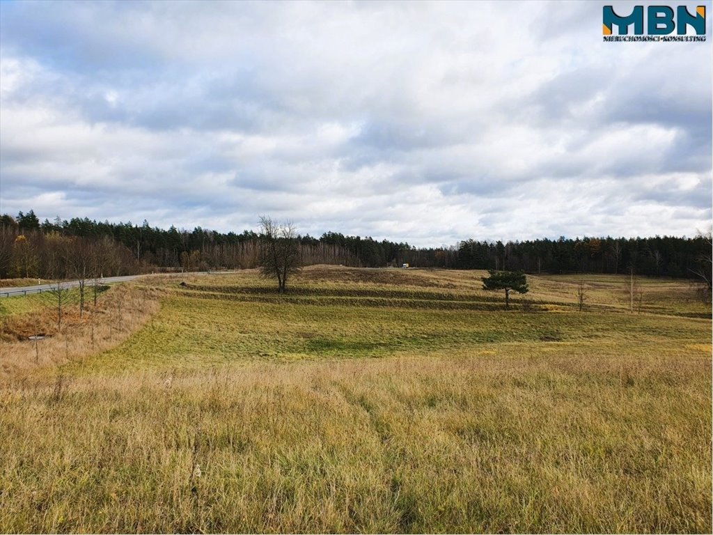 Działka rolna na sprzedaż Tuchlin, Tuchlin  65 579m2 Foto 1