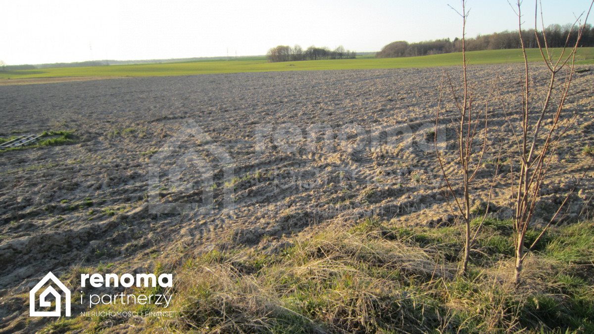 Działka budowlana na sprzedaż Sucha Koszalińska  975m2 Foto 18