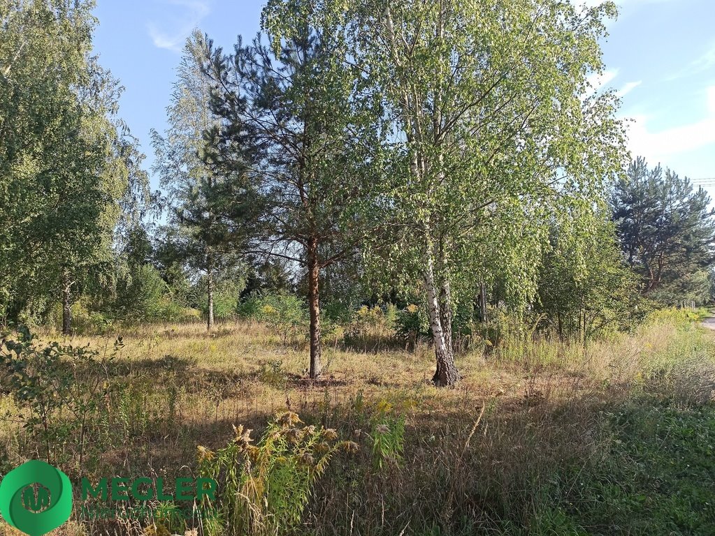 Działka budowlana na sprzedaż Jastrzębnik  1 400m2 Foto 6