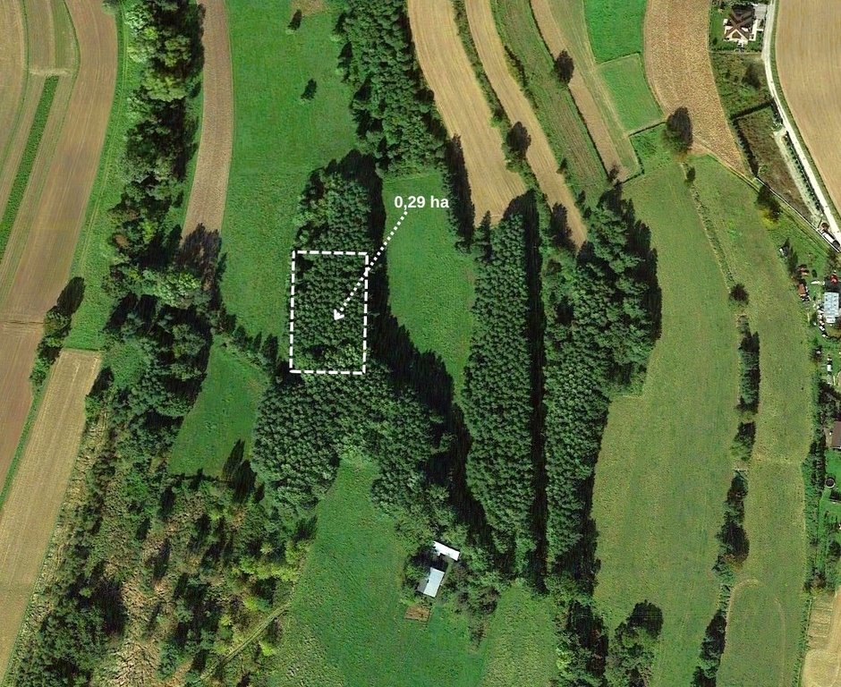 Działka leśna z potencjałem w Budziwoju, 29 arów Rzeszów, Budziwój, Liliowa  2 900m2 Foto 1