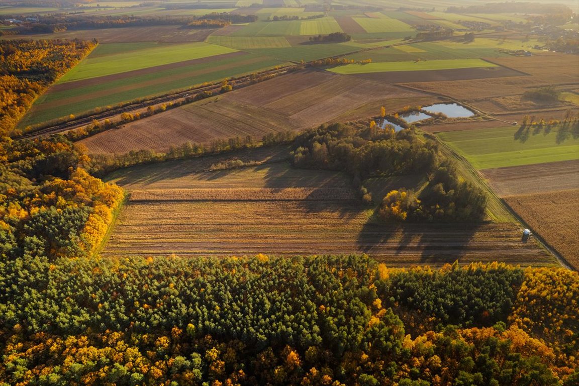 Działka 1061 m2 z lasem, blisko Wrocławia i plaży Stradomia Wierzchnia, Twoje miejsce na ziemi – działki w otoczeniu natury  1 061m2 Foto 1
