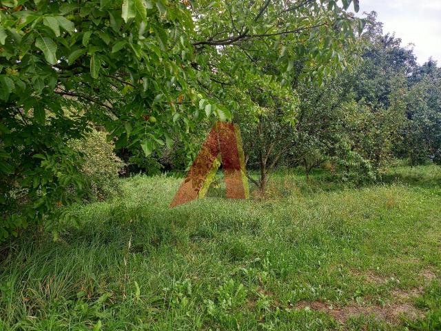 Działka budowlana na sprzedaż Ujazd, Jurajska  1 000m2 Foto 2