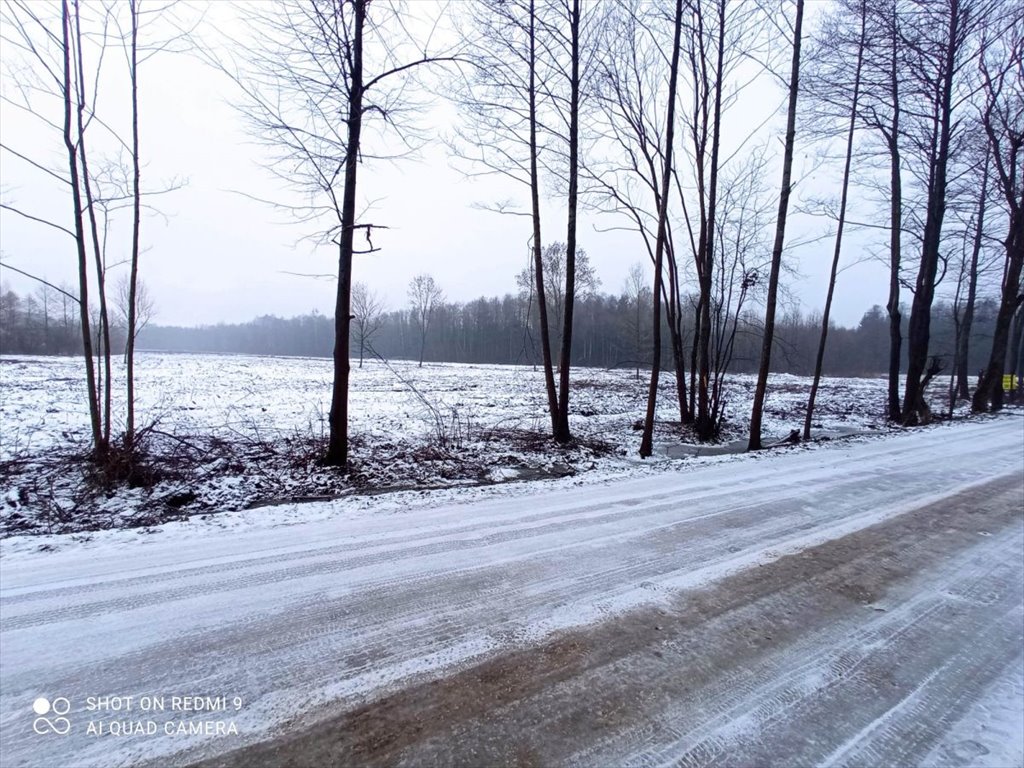 Działka budowlana na sprzedaż Halickie  5 440m2 Foto 2