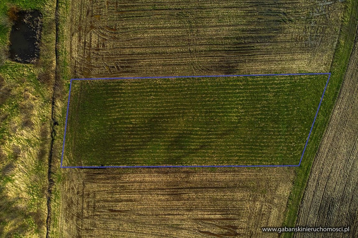 Działka rolna na sprzedaż Pawęzów  2 400m2 Foto 9